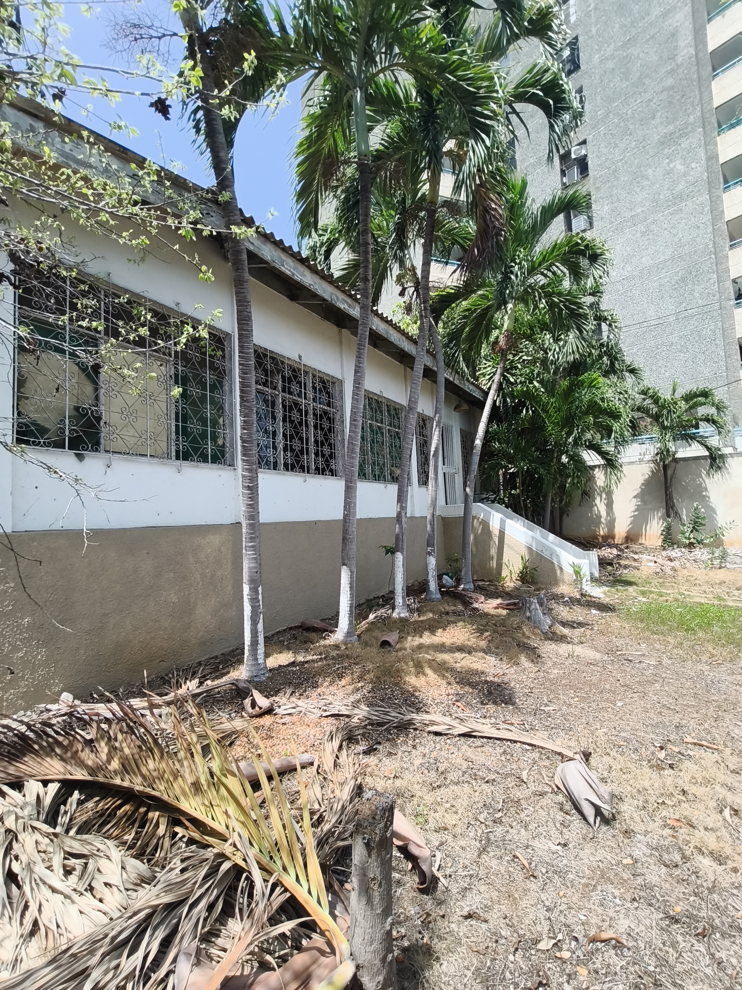 Venta Terreno con Casa Antigua Sector Las Garzas